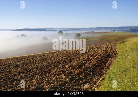 Burgund im Nebel, Burgund Landschaft im Morgennebel, Frankreich, Europa Stockfoto