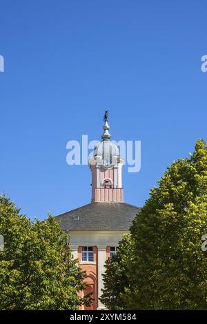 Historisches Rathaus mit Bäumen in Templin Stockfoto