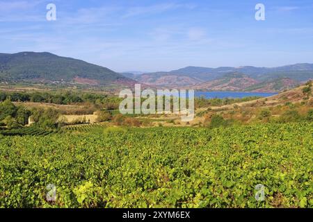 Lac du Salagou in Frankreich, Lac du Salagou in Frankreich, Languedoc-Roussillon Stockfoto