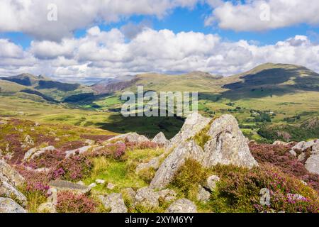 Malerischer Blick auf die Hügel und Berge oberhalb des Cwm Pennant Valley vom felsigen Craig y Garn Gipfel im Snowdonia Nationalpark. Garndolbenmaen Gwynedd Wales UK Stockfoto