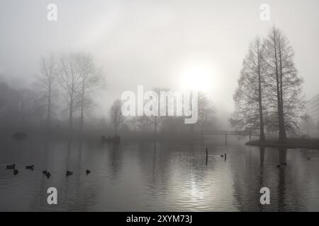 Baumsilhouette, Brücke und See im dichten Morgennebel Stockfoto