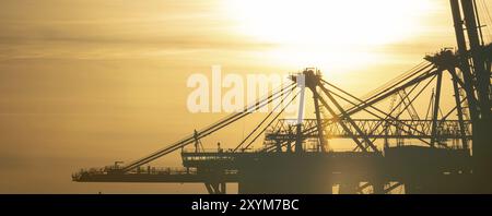 Details eines gigantischen Containergantrykrans bei Sonnenuntergang Stockfoto