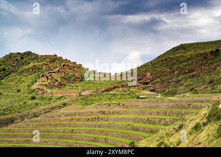 Ruinen der Inka-Zitadelle auf dem Berg im Sacres Valley of Inca in Pisac, Peru, Südamerika Stockfoto