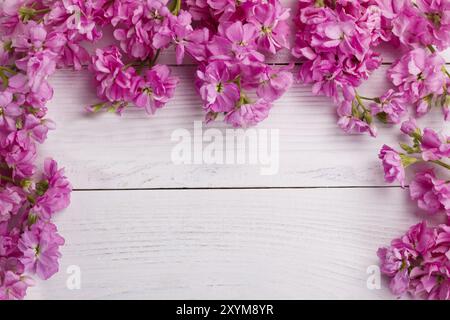 Duftende rosa Brühe Blumen Matthiola auf weißem hölzernem Hintergrund Stockfoto
