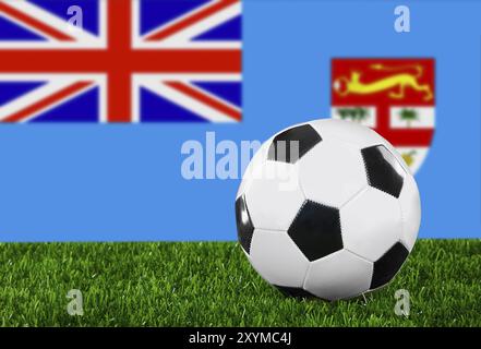 Die Fidschi-Flagge und der Fußball auf dem grünen Gras Stockfoto