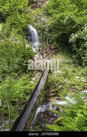 Kleiner Wasserfall am Schenner Waalweg oberhalb der Schenna bei Meran, Südtirol Stockfoto