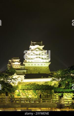 Traditionelle alte hölzerne Brücke, Steinmauer an der mittigen Front des Flutlichts beleuchtete Himeji-Jo-Burg in der Nacht in Himeji, Japan nach 2015 Re Stockfoto