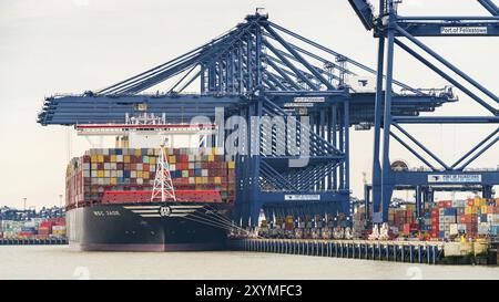 Felixstowe, Suffolk, England, Vereinigtes Königreich, 28. Mai, 2017: der Hafen von Felixstowe mit einigen Kränen, Containern und einem Containerschiff Stockfoto