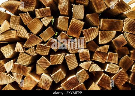 In der Nähe von Basel, Schweiz, 4. Mai 2014, Nahaufnahme eines Holzstapels in der Nähe von Basel auf einer schönen sonntagswanderung, Europa Stockfoto