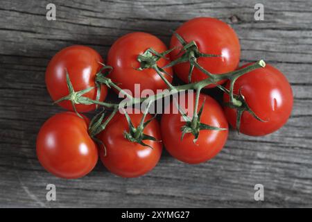 Taufrische rote Tomaten auf dem rustikalen Holzbrett Stockfoto