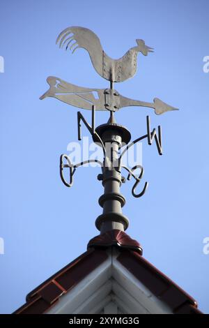 Wetterhahn auf einem Dach in Lothe Stockfoto