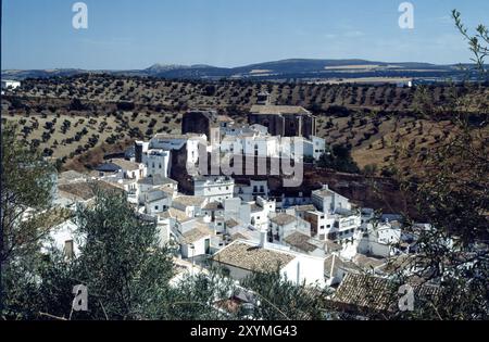 Panoramablick auf Setenil de las Bodegas, Andalusien, Spanien Stockfoto
