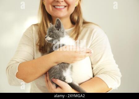 Süßes graues und weißes Kätzchen, das auf den Händen der Frau sitzt. Nahaufnahme. Unscharfer Hintergrund Stockfoto