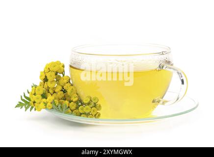 Tee tansy, Tee tansy 01 Stockfoto