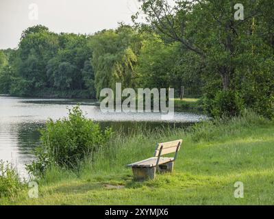 Holzbank am Ufer eines ruhigen Sees, umgeben von grüner Natur und Bäumen, Proebstingsee, Borken, Münsterland, Deutschland, Europa Stockfoto