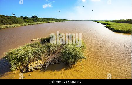 Lagune von St. Lucia, Südafrika Stockfoto