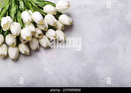 Blumenstrauß aus den weißen Tulpen am grauen Stein Hintergrund Kopie Raum flach Stockfoto