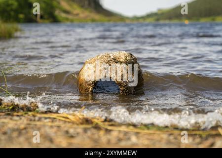 Ein Stein ausgewaschen von Llyn Geirionydd in der Nähe von Llanwrst, Conwy, Wales, Großbritannien Stockfoto