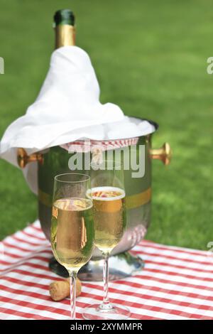 Champagner gegossen wird bei einem Sommerpicknick Stockfoto