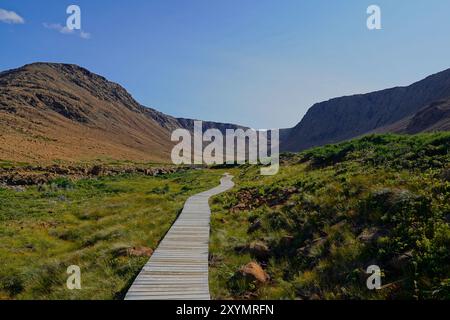 Boardwalk Trail im Gros Morne National Park Stockfoto