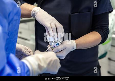 Istanbul, Türkei 29. Februar 2024; Myval, Eine neuartige Transkatheter-Herzklappe zur Behandlung schwerer Aortenstenosen. Myval Transcatheter Heart Va Stockfoto