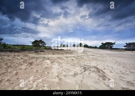 Düstere stürmische Wolken über Sanddünen in Drenthe, Appelscha Stockfoto