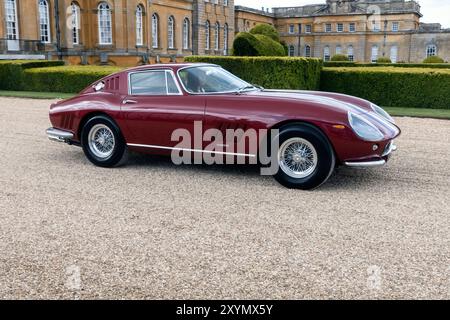 1965 Ferrari 275 GTB/6 von Scaglietti beim Salon Prive Concours 2024 im Blenheim Palace Woodstock Oxfordshire UK Stockfoto