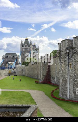 LONDON, GROSSBRITANNIEN, 22. AUGUST. Blick vom Tower of London auf die Tower Bridge in London am 22. August 2014. Nicht identifizierte Personen Stockfoto