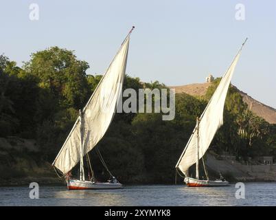 Feluken am Nil bei Assuan, Felucas am nil Stockfoto