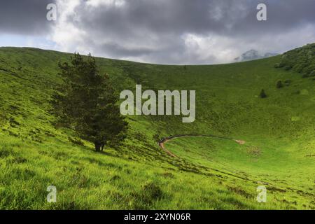 Der alte Vulkan Puy Pariou in der Auvergne in Frankreich Stockfoto
