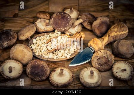 Shiitake (Lentinula edodes, Lentinus edodes), getrocknet und mit einem Messer auf einem Teller gehackt Stockfoto