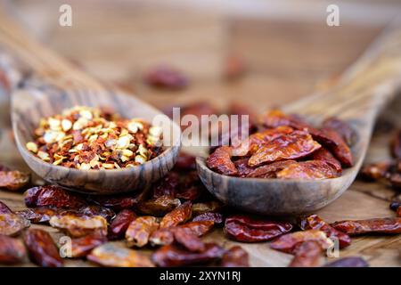 Chili (Capsicum spec. Chili getrocknet und auf Holzlöffeln gehackt Stockfoto