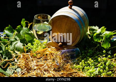 Trauben, Reben, Weinfässer und Weinglas in Strohhalm Stockfoto
