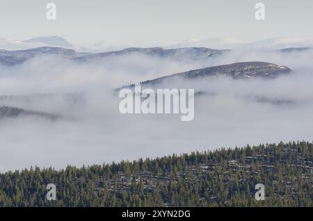 Morgennebel in Engerdalsfjellet, Hedmark Fylke, Norwegen, Oktober 2011, Europa Stockfoto