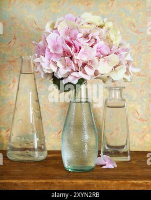 Sanfte Rosa Hortensia oder Hortensia Blume in Glasvase auf Holzpult neben gefüllt mit Wasservasen vor farbenfrohem Hintergrund Stockfoto