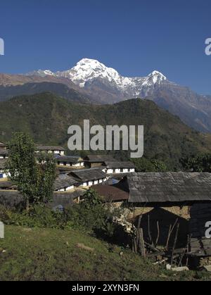 Idyllisches Dorf Ghandruk und schneebedeckte Annapurna South Stockfoto