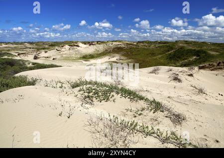 Sanddünen in Zandvoort aan Zee in den Niederlanden Stockfoto