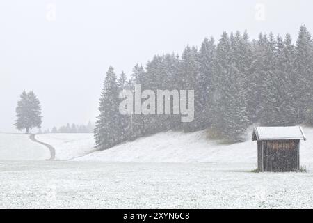 Alte Hütte und Hügel in starkem Schneesturm, Deutschland, Europa Stockfoto