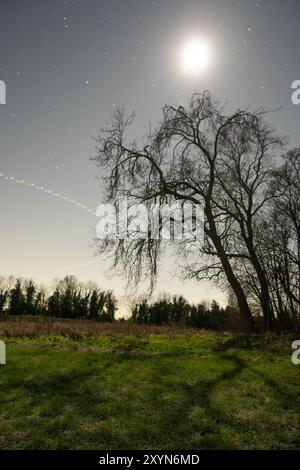 Eine Nachtszene Stockfoto