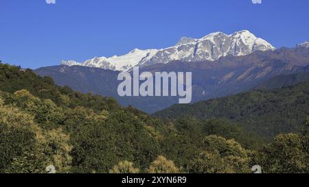 Grüne Wälder und schneebedeckte Annapurna Range. Landschaft im Himalaya, Nepal, Asien Stockfoto