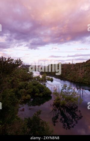 Die Dämmerung beginnt über dem Waikato River Stockfoto