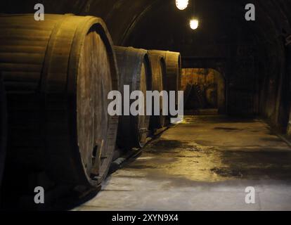 Alten grossen Eichenfässern in dunklen Weingut Keller Stockfoto