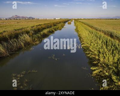 Canal des Sol, Parque Natural s'Albufera de Mallorca, Terminos Communales de Muro y sa Pobla. Mallorca, balearen, spanien Stockfoto