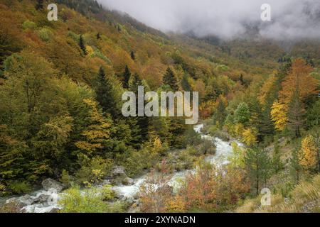 Grüner Korridor des Flusses Veral, westliche Täler, Pyrenäengebirge, Provinz Huesca, Aragon, Spanien, Europa Stockfoto