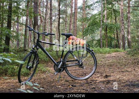 Fahrradtour durch den Wald auf dem Darss. Pause und Parken des Fahrrads. Aktive Naturforschung. Sportlich gesunde Bewegung Stockfoto