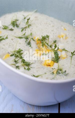 Frische Kerbelsuppe mit Ei Stockfoto