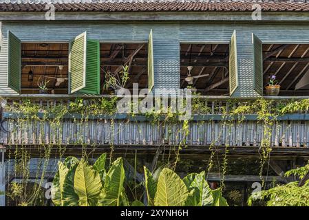 Fassade eines Holzhauses, Haus, Architektur, Gebäude, Fassade, Textur, offen, Holzfassade, historisch, Geschichte, überwachsen, überwachsen, Hauswand, Stockfoto