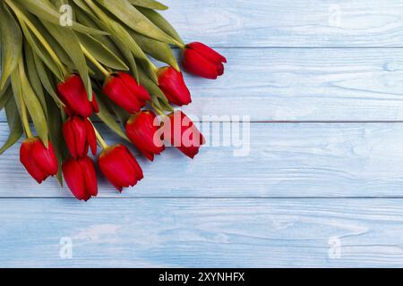 Rote Tulpen auf blauen Holztisch. Draufsicht mit Textfreiraum Stockfoto