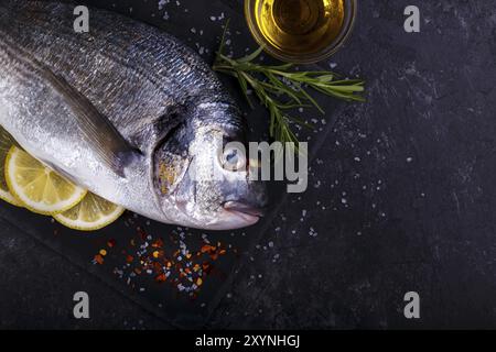 Raw Dorade Fisch mit Rosmarin und Zitrone auf Weiß Schwarz Stein gesundes Essen Konzept top Ansichtskopie Raum Stockfoto