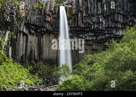 Svartifoss Wasserfall im Skaftafell Nationalpark Island an einem Sommertag Stockfoto